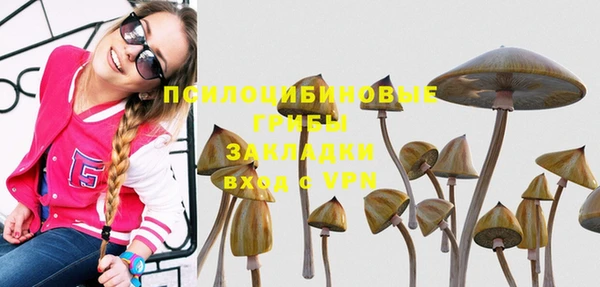 тгк Абинск